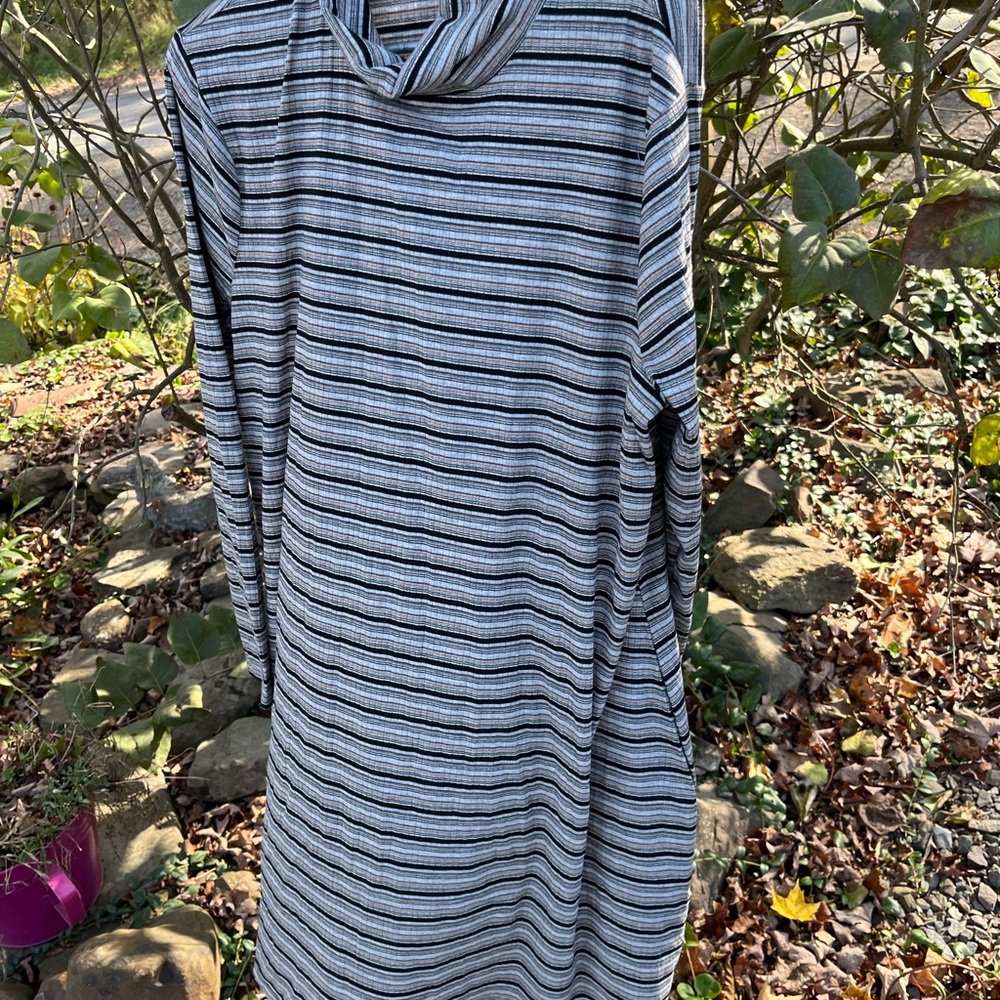 Next Question black/white striped dress